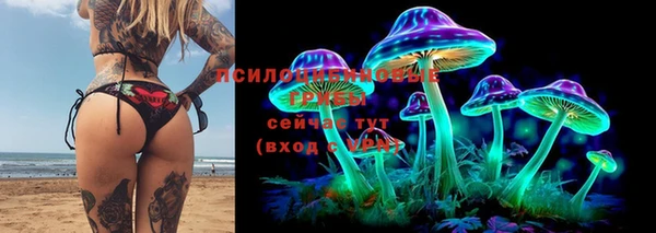 ПСИЛОЦИБИНОВЫЕ ГРИБЫ Верхний Тагил
