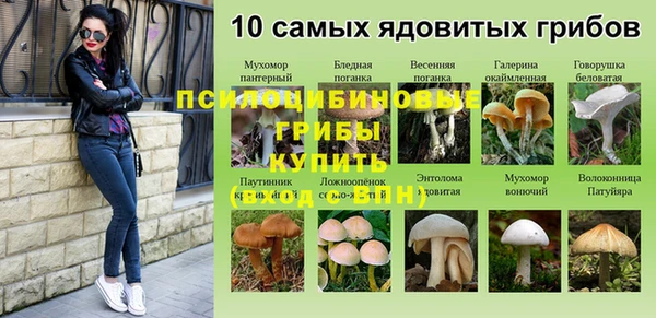 прущие крисы Верея