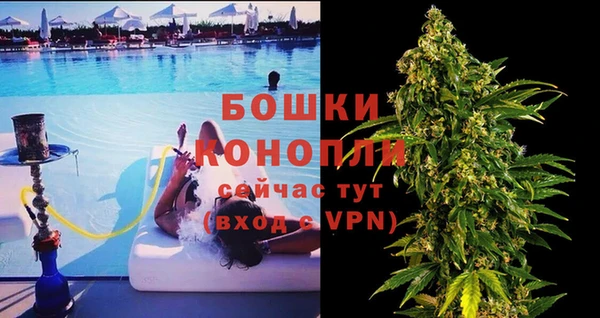 прущие крисы Верея