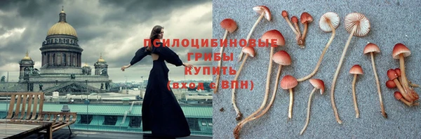 ПСИЛОЦИБИНОВЫЕ ГРИБЫ Верхний Тагил